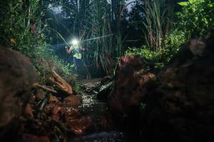 BIB: 
                            <button type="button" onclick="openModal(26417762)" class="btn btn-primary btn-sm float-right btn-popup" data-toggle="modal" data-target=".modal-high-quality">
                        <i class="fas fa-shopping-cart"></i> Add to Cart
                    </button>
                                            <button type="button" onclick="isThisMe(26417762, true)" class="btn btn-success btn-sm float-right btn-popup btn-isme hidden" data-toggle="tooltip" data-placement="bottom" title="นี่คือรูปของคุณใช่ไหม คลิกที่นี่เพื่อเอาเข้าอัลบั้ม">
                        <i class="fas fa-plus"></i> Add to album
                    </button>
                    <button type="button" onclick="isThisMe(26417762, false)" class="btn btn-warning btn-sm float-right btn-popup btn-isnotme hidden">
                        <i class="fas fa-ban"></i> Remove from album
                    </button>